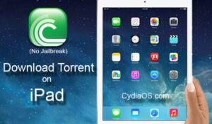 how to download torrent in ipad